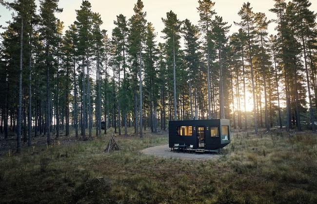 CABN Kuitpo Forest - Foto 11