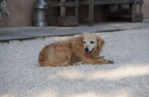 Agriturismo Il Castellaro - Foto 34