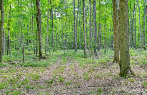 400-Acre Outdoor Enthusiasts Lodge in Mancelona! - Foto 13