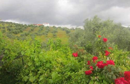 Cortijo "Era Grande 1" - Foto 35