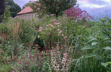 Arboris - Retreat into the open - Photo 24