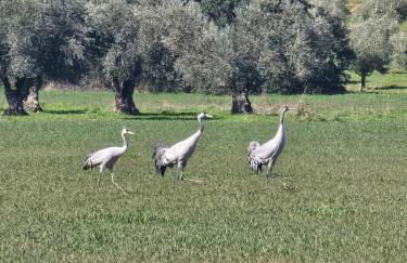 La Carpintería - Foto 26