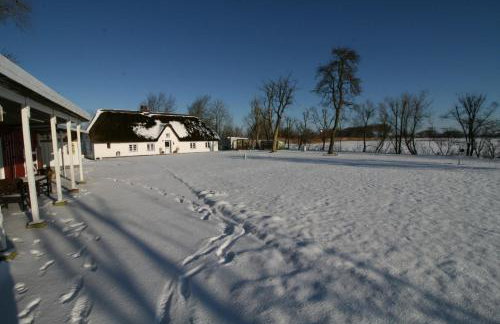 Reetdachhaus, Sauna, E-Bikes, 6 Personen - Foto 71