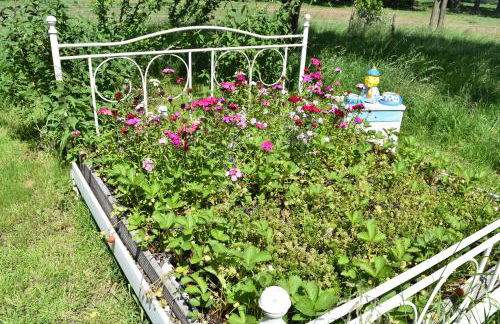 Kreativhof Lehmberg - Photo 38