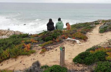 Apartamento Riomar - Photo 23