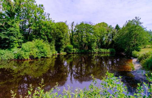 Lakeside Cottage - Photo 11