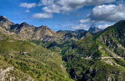 FINCA EL ALMENDRO - Foto 31