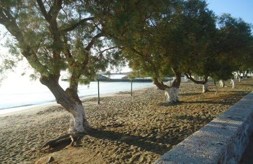 Kois Studios - Foto 66