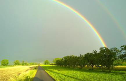 Ferienhof Schlössle - Foto 7