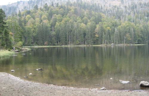 Apartment Weber by Interhome - Foto 14