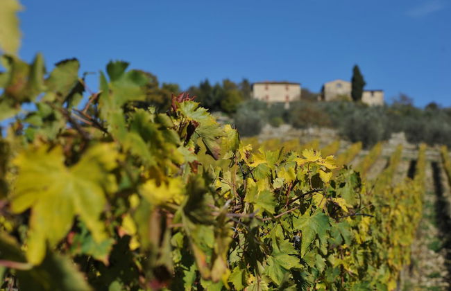 Collelungo - Foto 67