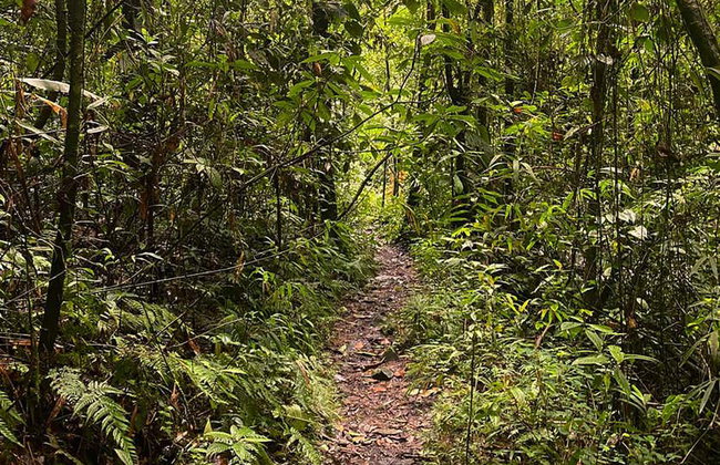 Farallones de Cali & El Topacio Day Trip - Photo 10