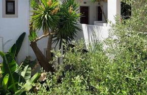 Tree of Life Art Hotel - Foto 2