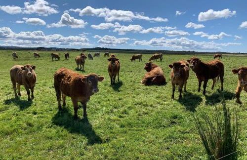 Sun, Sea, Nature - Foto 18