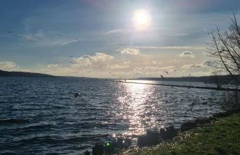 City Villé Ferienwohnung Innenstadt - Foto 2