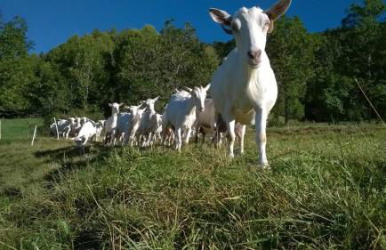 Agriturismo Les Ecureuils - Foto 26