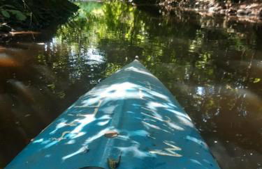 Urlaub in der Bauwagenidylle - Foto 35