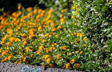 relaxing holiday in Sardinia - Matafaluga apartment - Foto 38