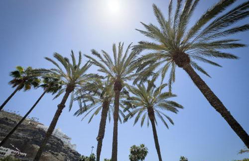 Holiday Club Playa Amadores - Foto 14