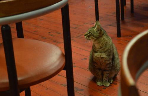 Baladinos Apartments - Foto 65