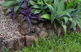 Casa Vintage - Photo 22