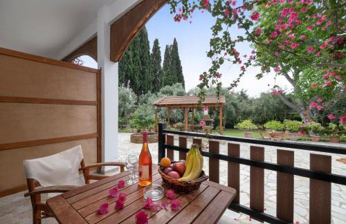 Vergonis Studios - Photo 5