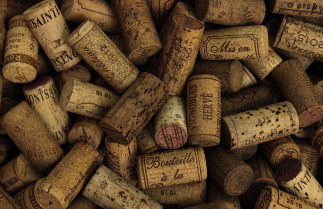 Chenonceau, Chambord & Duhard Excursion - Photo 2