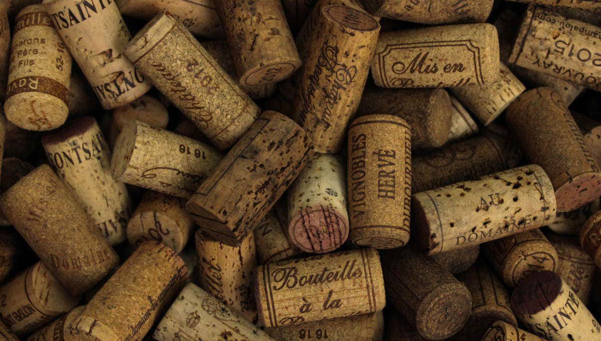 Chenonceau, Chambord & Duhard Excursion - Photo 2