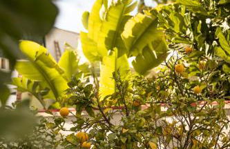 Exclusive Villa City, Beach & Golf - Photo 58