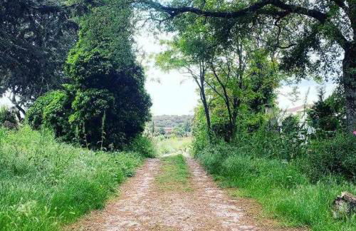 Casa rural La Casona de Monterrey - Photo 8