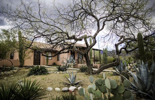 Tanque Verde Ranch - Photo 71