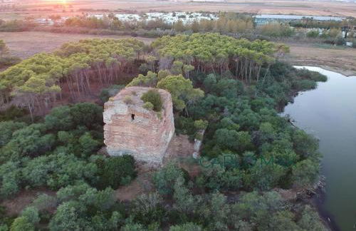 Villa Pavone - Foto 41