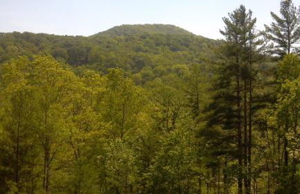 Cherokee Dream Mountain Lodge - Foto 6