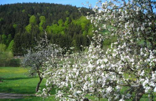 Ferienwohnung Lindenhof - Foto 51