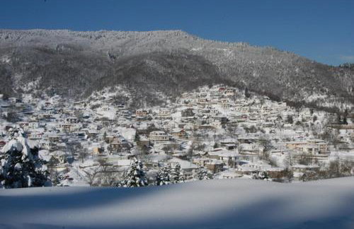 Stivakti Chalet - Foto 23