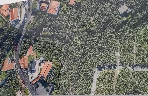 Casa Orquidea T3 - Foto 28