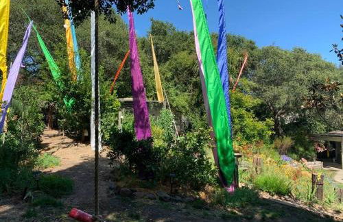 Amazing Santa Cruz Landscaped Paradise - Foto 10