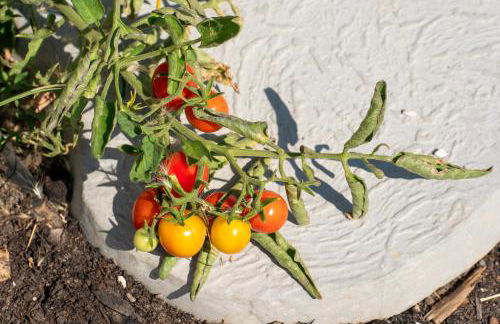 Endless Blue Private Club - Foto 44