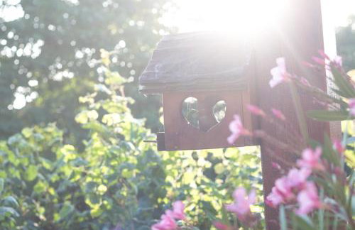 Auszeit-Wohnungen - Foto 26