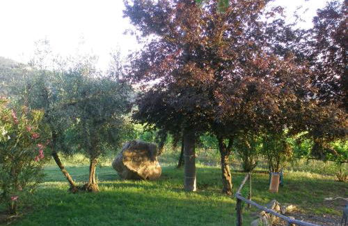 Agriturismo Biologico Poggiopiano - Foto 65