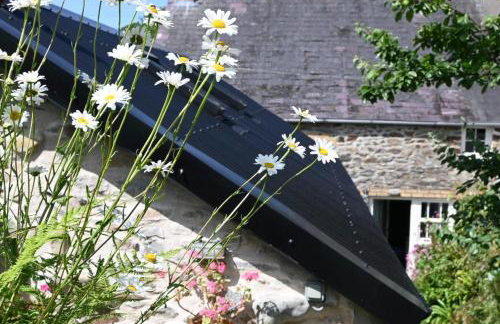 Bro Deg - Moylegrove - Foto 29