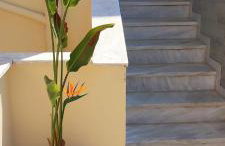 Tsonos Apartments - Photo 58