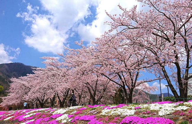 Lake Villa Kawaguchiko - Photo 51