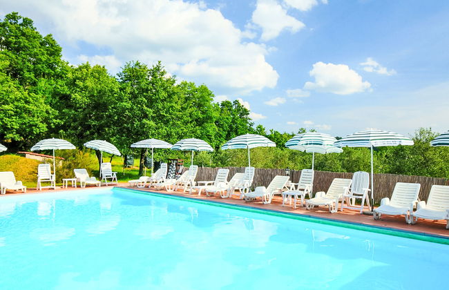 Pulcino n°3 - Foto 19