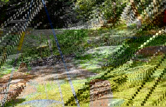 Emlyn's Coppice - Woodland Glamping - Foto 44