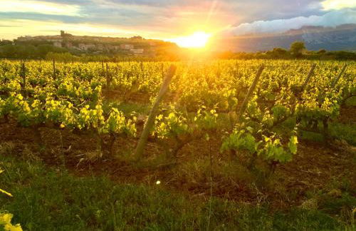 Four Bedroom Chalet with Private Pool in the Heart of Rioja Alavesa - Photo 22