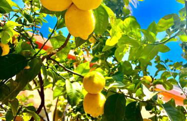 Casa Klod Ibiza - Foto 36