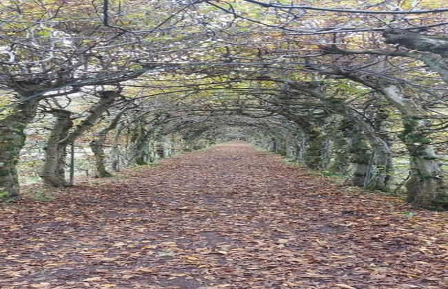 Attractive Holiday Home in Spa With Swimming Pool - Photo 40