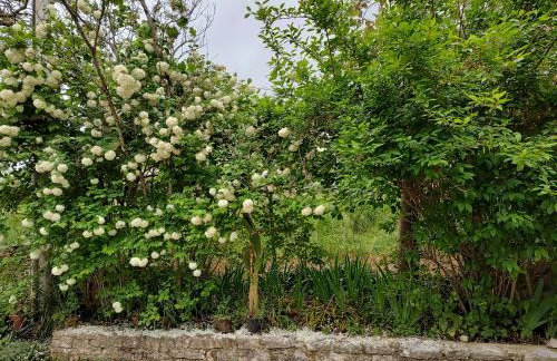 Spacious apartment QuAdria near Motovun - Foto 40