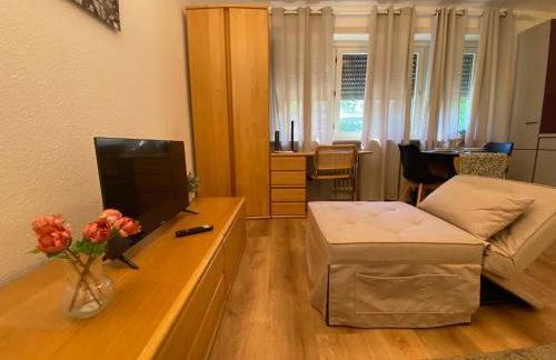 Business & Travel Apartment - in Laufnähe zu Messe und City - Foto 1